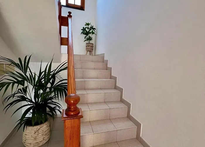 Celma * Costa Adeje (Tenerife)